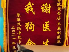 -瑞派雷欧宠物医院·中兽医·眼科·急重症转诊中心(黄台店)