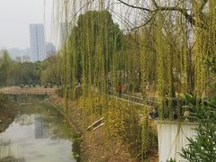 -堤角公园