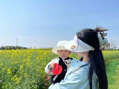 -杭州湾海上花田景区