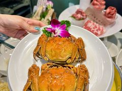 -喜聚薈·花膠雞海鮮火鍋(越秀店)