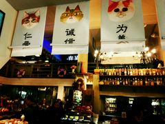 -猫咪博物馆(顶澳仔猫街店)