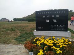 门面-汉景帝阳陵博物院