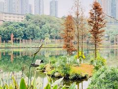-重庆彩云湖湿地公园