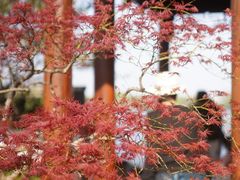 -郭庄景区