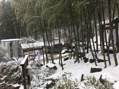 -江南天池高山汤泉城
