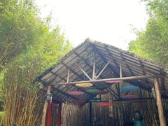 -森波拉火山温泉