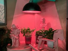 大堂-胡桃里乐队酒馆(昙华林店)