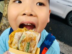 -孙奶奶葱包桧
