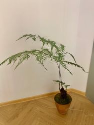 -AIST爱思特医疗美容医院