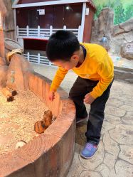 -宝燕乐园(闵行旗舰店)