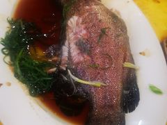 -老字号蛇口德记烧腊饭店·海鲜加工