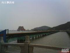 -野狸岛