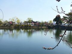 -无锡蠡湖国家湿地公园-蠡园