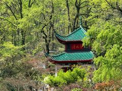 -岳麓山风景名胜区