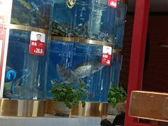-蜀滋香鲜鱼美蛙火锅(339店)