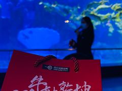 -青岛海底世界-水族馆