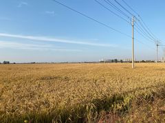 -天发长铁锅炖(王秀村店)