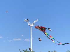 -丁香湖公园