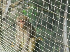 -辛玛王国游乐园