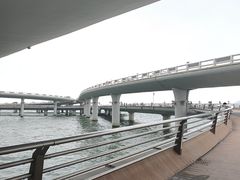 -演武大桥观景平台