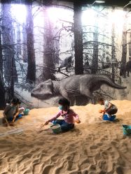 -恐龙探索乐园(磁器口店)