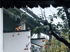 -广富林宰相府酒店·水云间