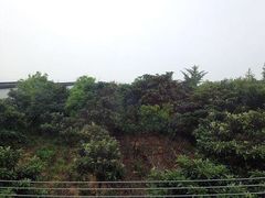 iphone_upload_pic-三山岛