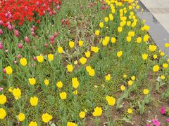 -长春公园(普阳街道)