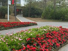 -福田红树林生态公园