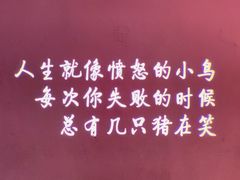 -成都失恋馆