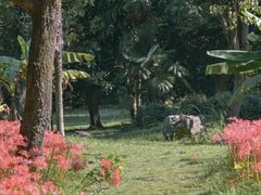 -杭州植物园