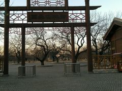 -御林古桑园