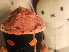 -野人先生现做冰淇淋(北京顺义祥云小镇店)
