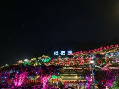-枇杷园食为鲜火锅(南山店)