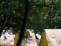 -宜兴龙背山森林公园