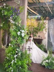 -城市花园婚纱摄影