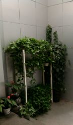 android_upload_pic-影博莎美容美发形象设计中心