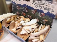 -芸山季·云南山珍菌火锅(南翔印象城MEGA店)