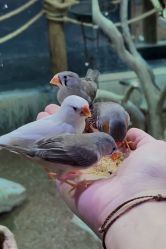 -Zoolung Zoolung动物主题公园(海信广场店)