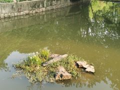 -上海野生动物园
