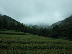 -午潮山国家森林公园
