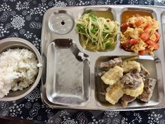 -大丰知青农场