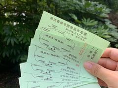 -上海滨江森林公园