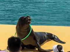 -秦皇岛乐岛海洋王国