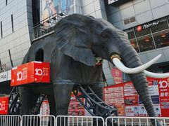 -新世界百货(顺义店)