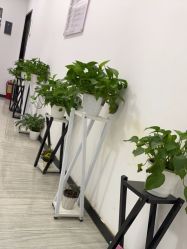 -悟空祛痘·亚健康皮肤管理中心