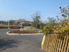 -江门古劳水乡旅游区