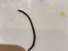 -HOHO餐厅(古子城店)