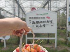 -菊园百果园