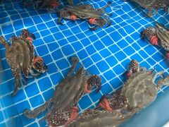 -宾朋海鲜特色美食餐厅·纯手工鲅鱼水饺(兴海路店)